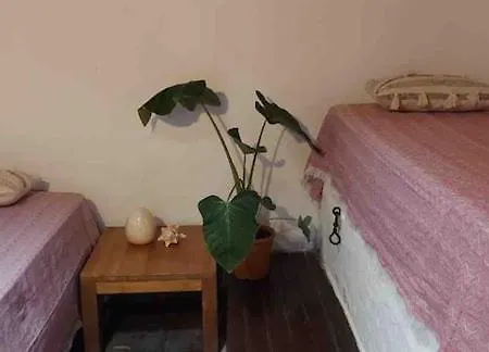 Finca Oaxaca - Casa Jaguar *